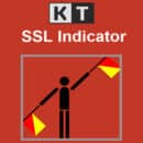 kt ssl indicator logo