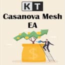 kt casanova mesh ea logo